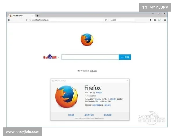 提升火狐浏览器使用效率的实用技巧与优化方法分享